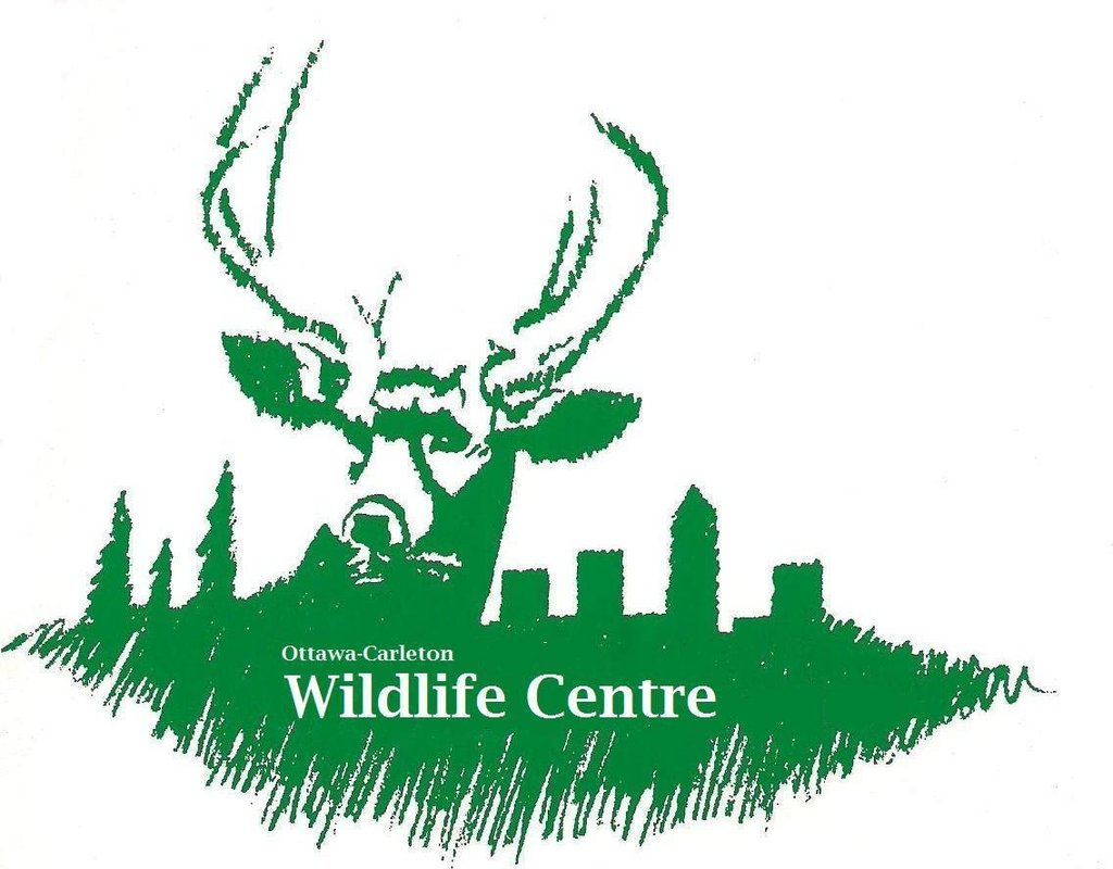 Ottawa-Carleton Wildlife Centre's picture