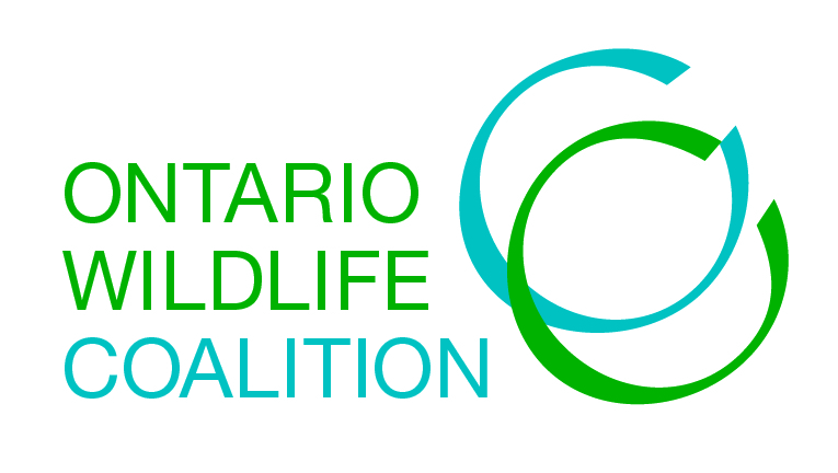 Ontario WildlifeCoalition's picture