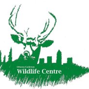 Ottawa-Carleton Wildlife Centre's picture