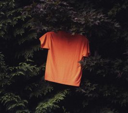 Orange t-shirt hanging in cedar trees; ​Photo by Aedrian on Unsplash