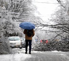 Person with umbrella surveying ice storm damage, with fallen trees, hydro wires covered in ice, and parked along the street. 
