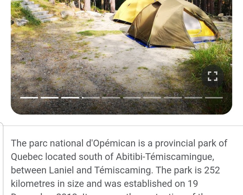 Tents at a campsite