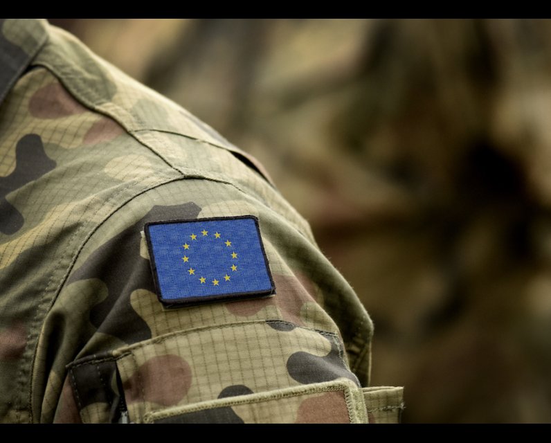 European Military c/o: Bumble Dee/Shutterstock