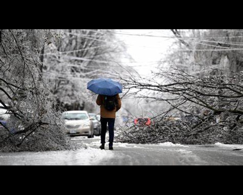Person with umbrella surveying ice storm damage, with fallen trees, hydro wires covered in ice, and parked along the street. 