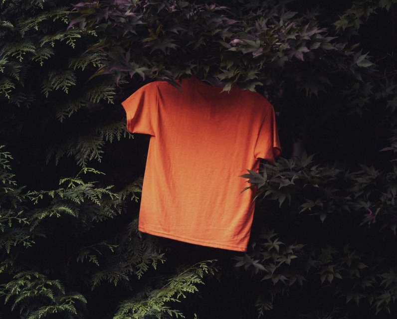 Orange t-shirt hanging in cedar trees; ​Photo by Aedrian on Unsplash